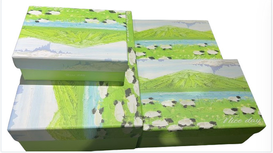 Bello Modello Flip Top Gift Box Custom Cardstock rigido Elegante Disegno