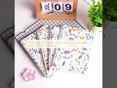 Quaderno a spirale con copertina rigida, layout a pagina singola, pagine bianche, 100 pagine